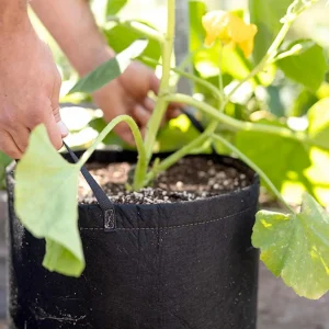Black Geopot Fabric Bag - 15 Gallon>Roger's Gardens Cheap