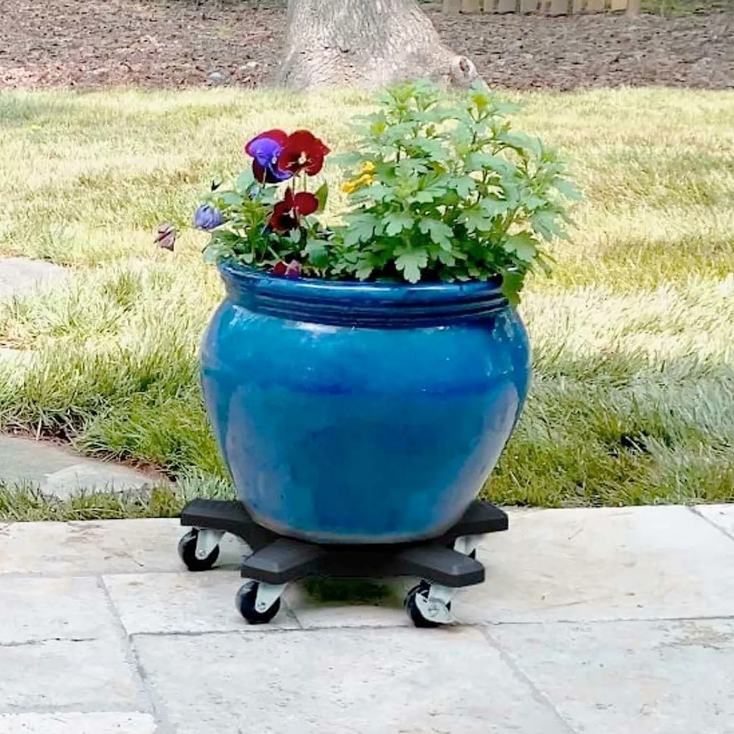 black_plant_caddie___3.webp Black Plant Caddie - 14">Roger's Gardens Hot