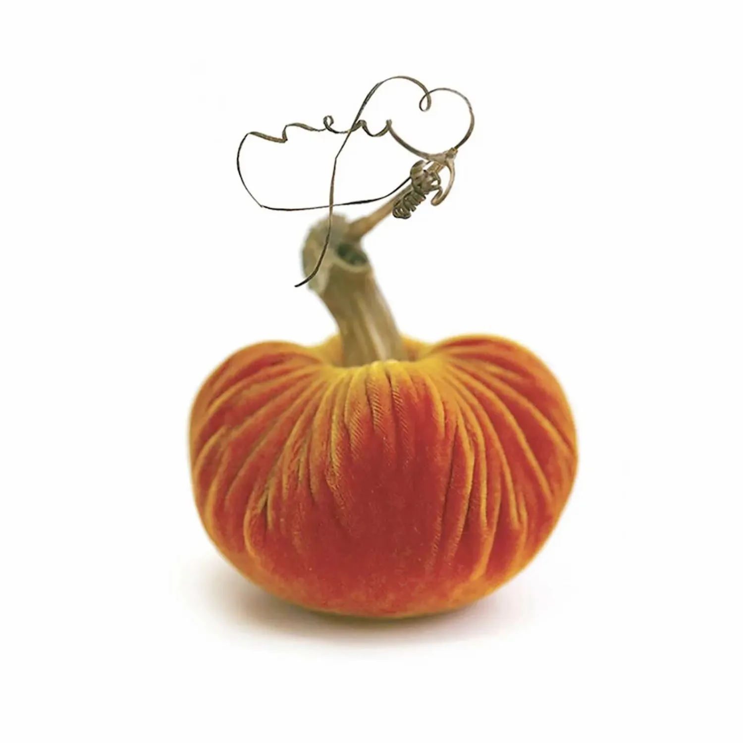 carrot_velvet_pumpkin___tall_to__tall_0-1.webp Carrot Velvet Pumpkin - 6" Tall To 13" Tall>Roger's Gardens Cheap