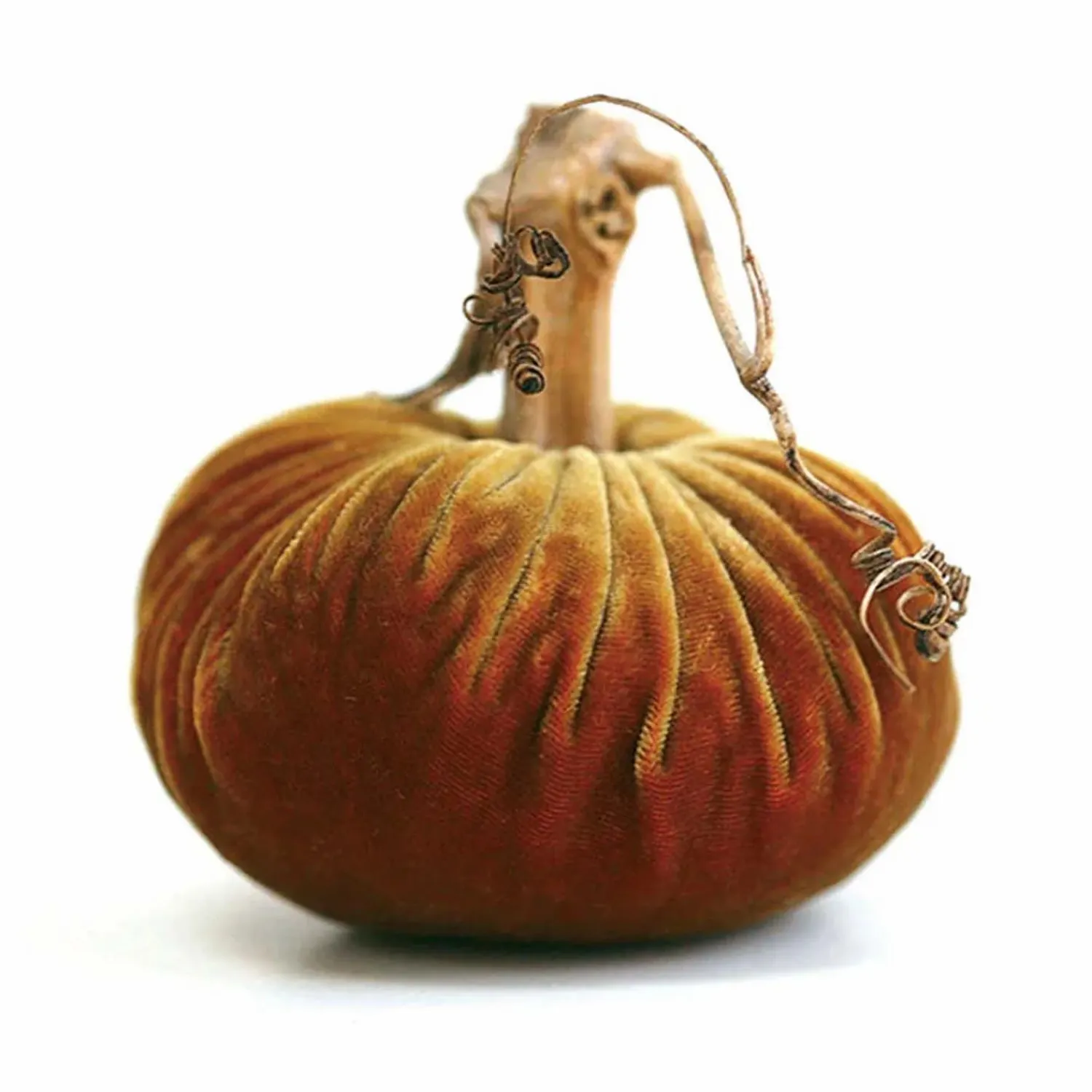curry_velvet_pumpkin___tall_to__tall_0-1.webp Curry Velvet Pumpkin - 6" Tall To 13" Tall>Roger's Gardens Discount