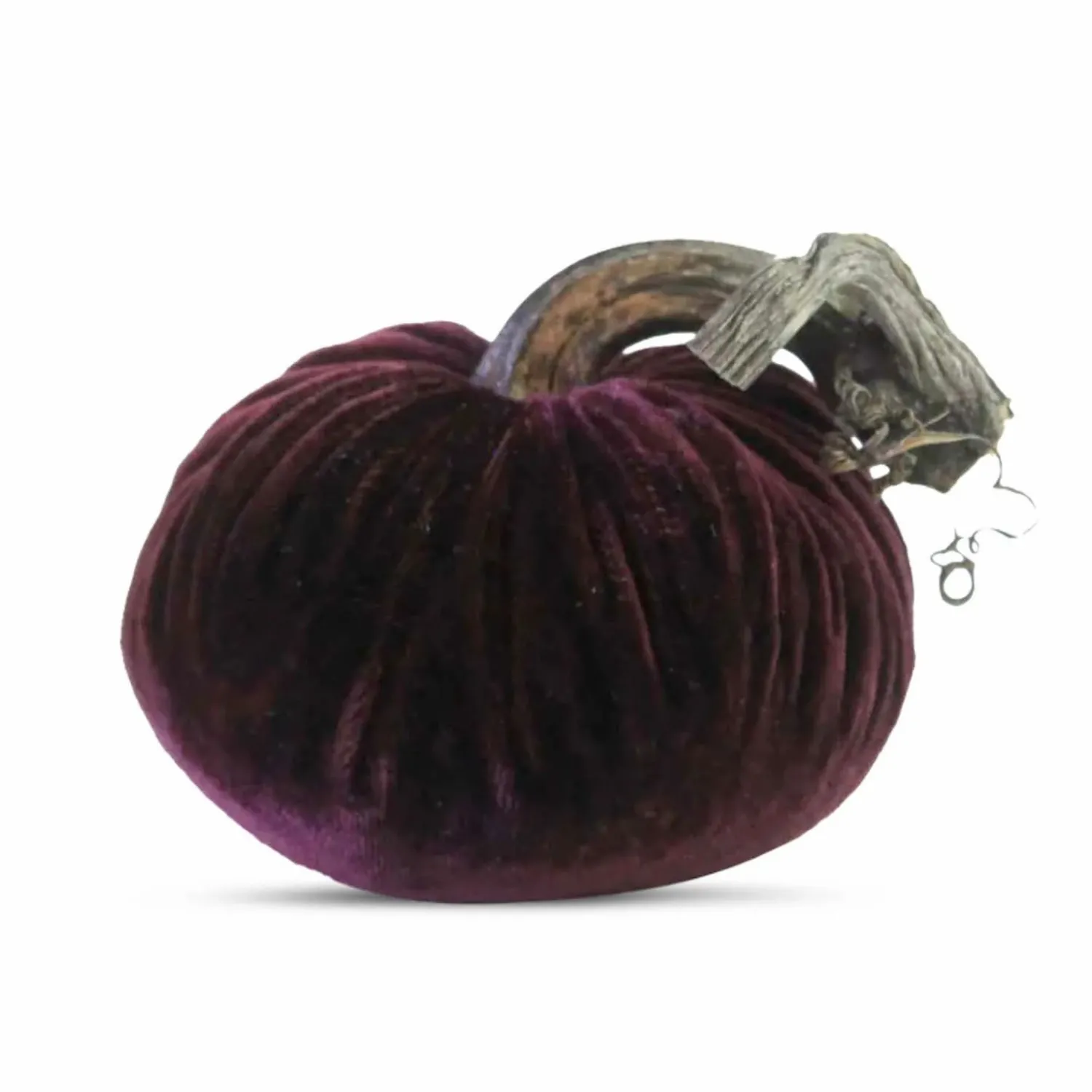 eggplant_velvet_pumpkin___tall_to__tall_0-1.webp Eggplant Velvet Pumpkin - 6" Tall To 8" Tall>Roger's Gardens Shop