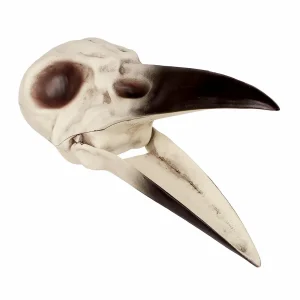 Evil Raven Skull - 8.75" X 3.5" X 3.5">Roger's Gardens Cheap