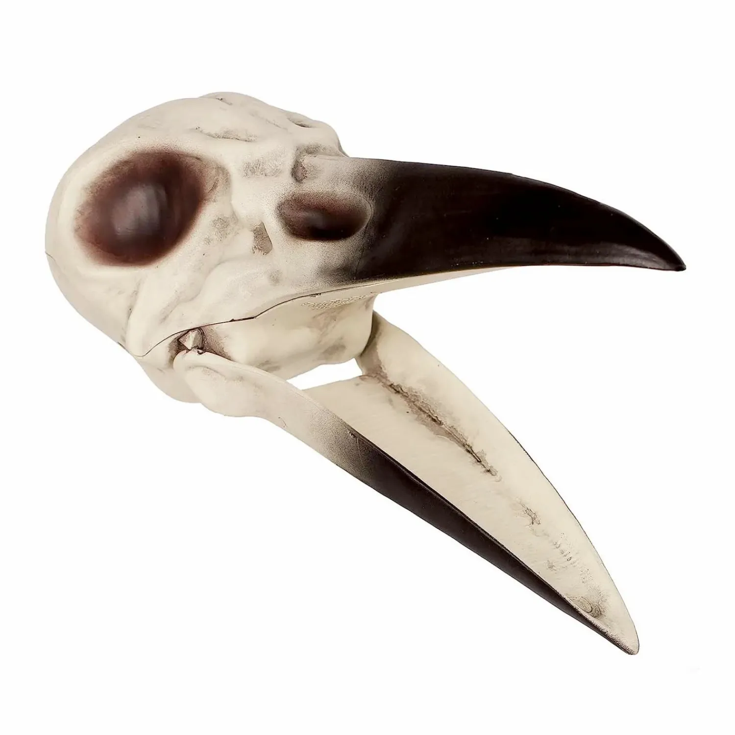 evil_raven_skull___x__x__0.webp Evil Raven Skull - 8.75" X 3.5" X 3.5">Roger's Gardens Cheap