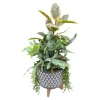 Foliage In Large Grey Aztec Planter>Roger's Gardens Discount