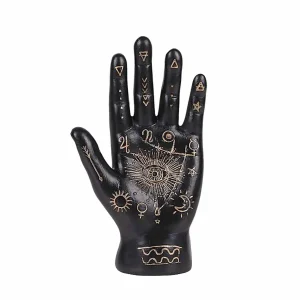 Fortune Teller's Palm - Black - 7" Tall>Roger's Gardens New
