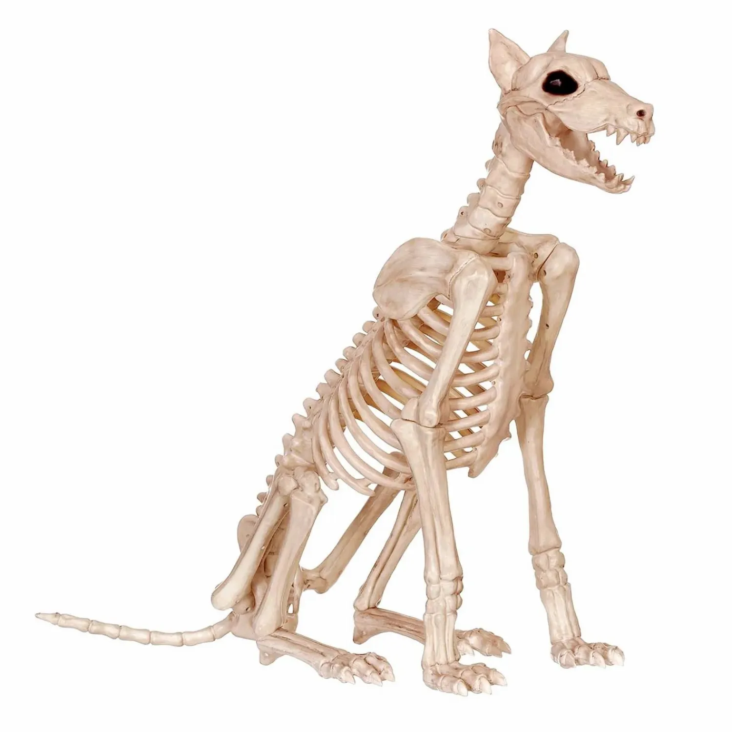 howling_devil_dog_bones___tall_0.webp Howling Devil Dog Bones - 25" Tall>Roger's Gardens Flash Sale