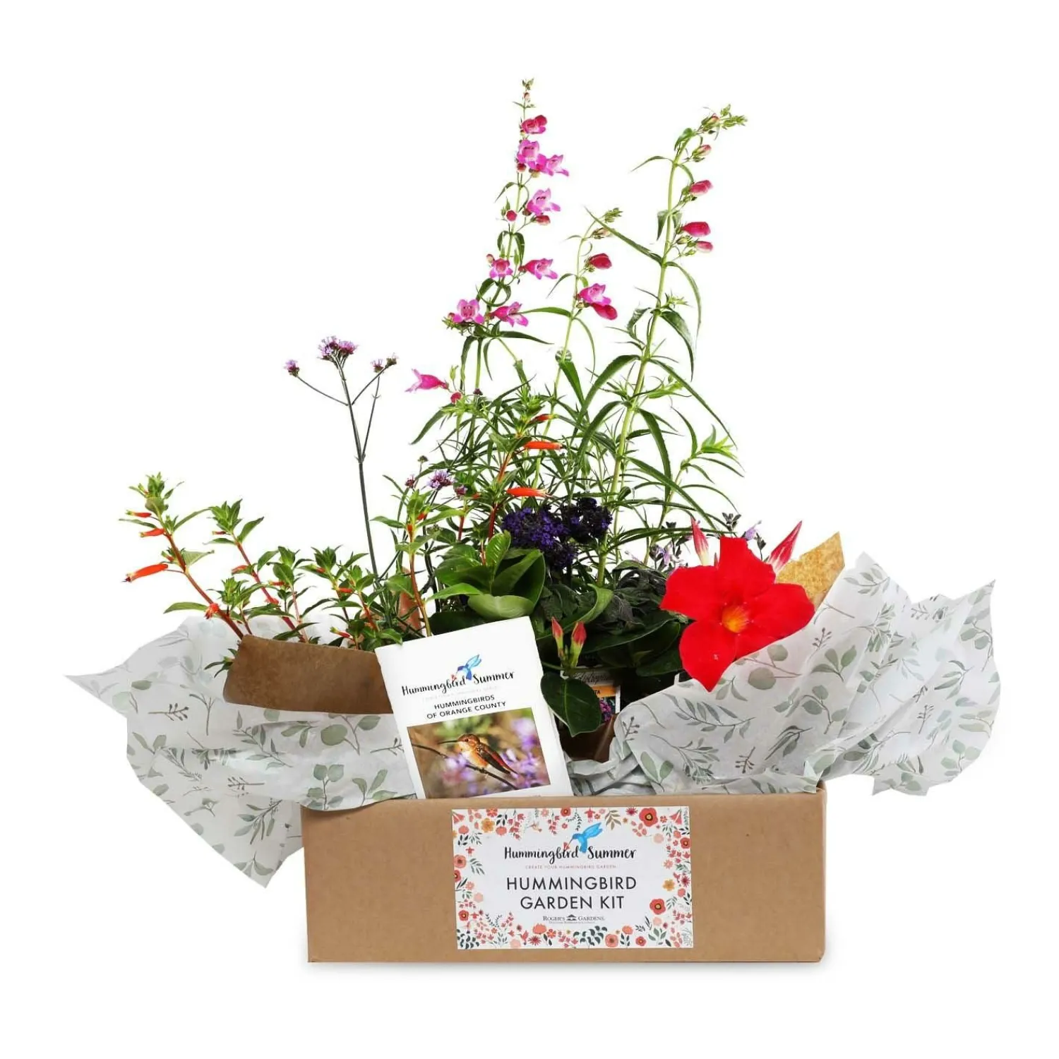 hummingbird_gardening_kit_0-1.webp Hummingbird Gardening Kit>Roger's Gardens Clearance