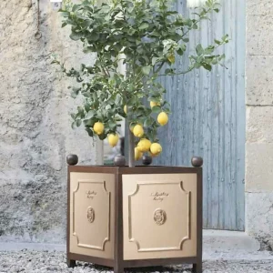 Ivory Color Glazed Orange Container>Roger's Gardens Best Sale