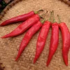 Korean Hot - 4" Pot>Roger's Gardens New