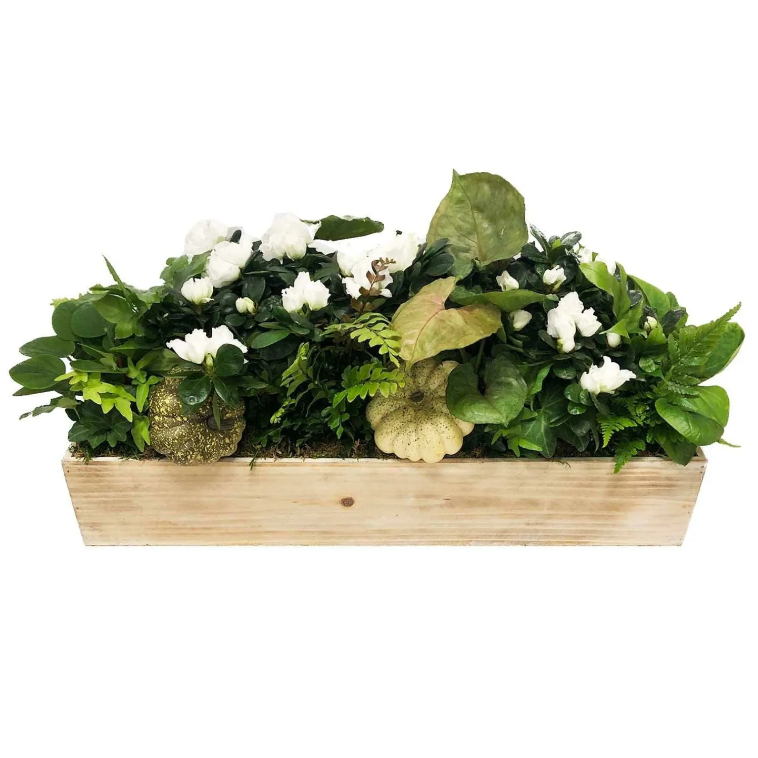 large_white_autumn_long_and_low_living_centerpiece_0.webp Large White Autumn Long And Low Living Centerpiece>Roger's Gardens New