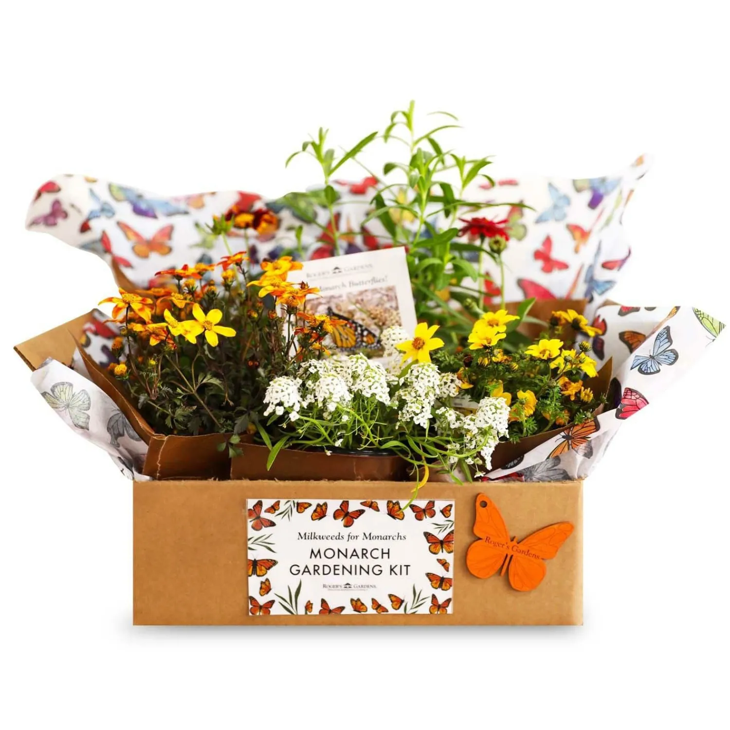 monarch_gardening_kit_0.webp Monarch Gardening Kit>Roger's Gardens Hot