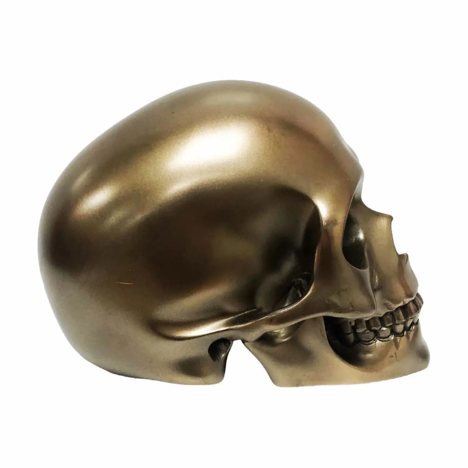mystical_bronze_skull___tall_1.webp Mystical Bronze Skull - 5.25" Tall>Roger's Gardens Store