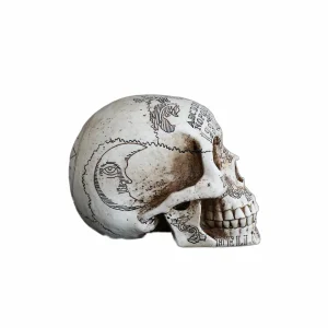 Ouija Skull - 6.25" Tall>Roger's Gardens Best Sale
