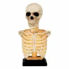 Skeleton Bust Statue With Light And Sound - 16" Tall>Roger's Gardens Best