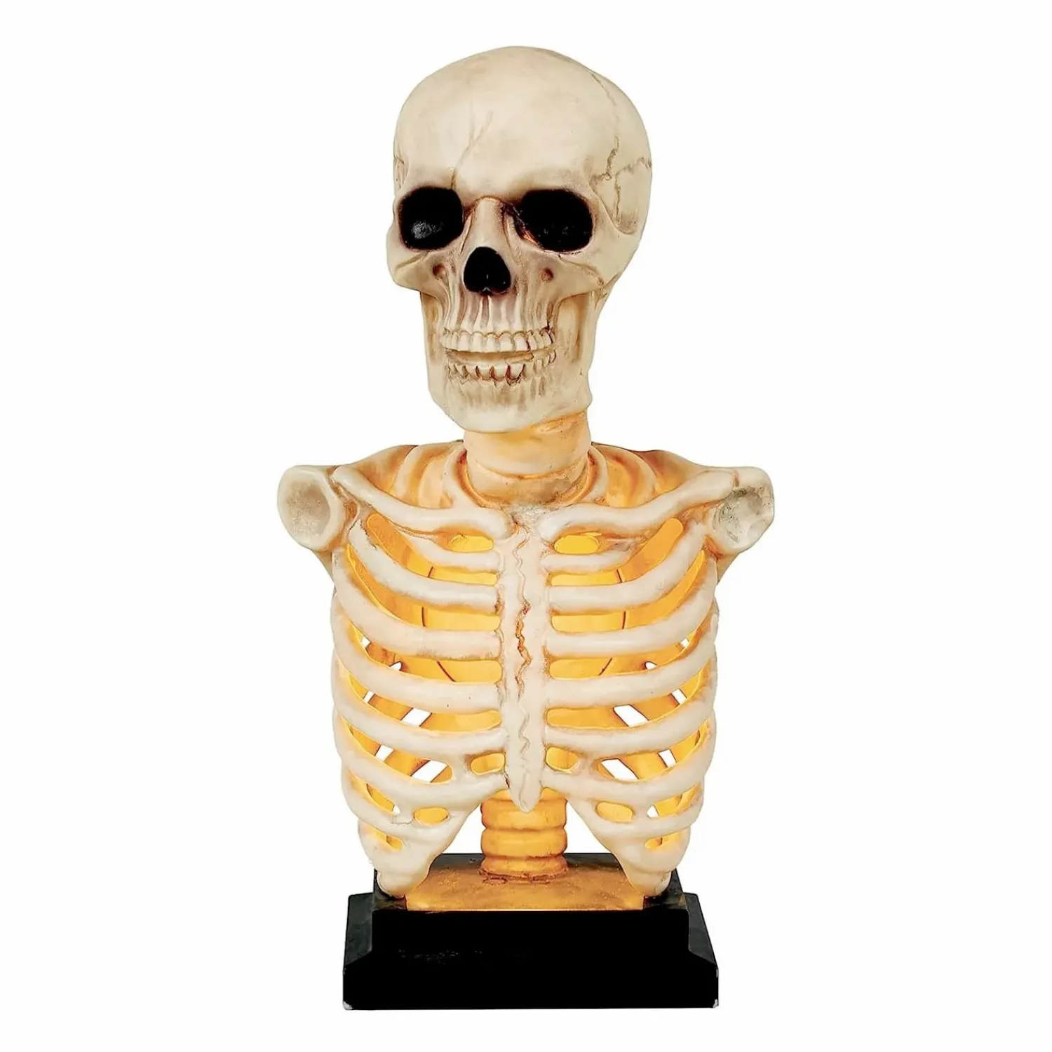 skeleton_bust_statue_with_light_and_sound___tall_0.webp Skeleton Bust Statue With Light And Sound - 16" Tall>Roger's Gardens Best
