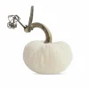 Snow Velvet Pumpkin - 6" Tall To 8" Tall>Roger's Gardens Cheap