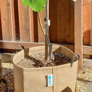 Tan Geopot Fabric Bag - 15 Gallon>Roger's Gardens New