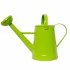Traditional Metal Watering Can - Green>Roger's Gardens Outlet