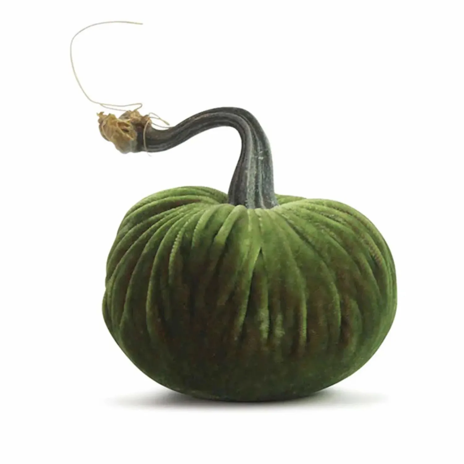 watermelon_velvet_pumpkin___tall_to__tall_0-1.webp Watermelon Velvet Pumpkin - 6" Tall To 13" Tall>Roger's Gardens Hot