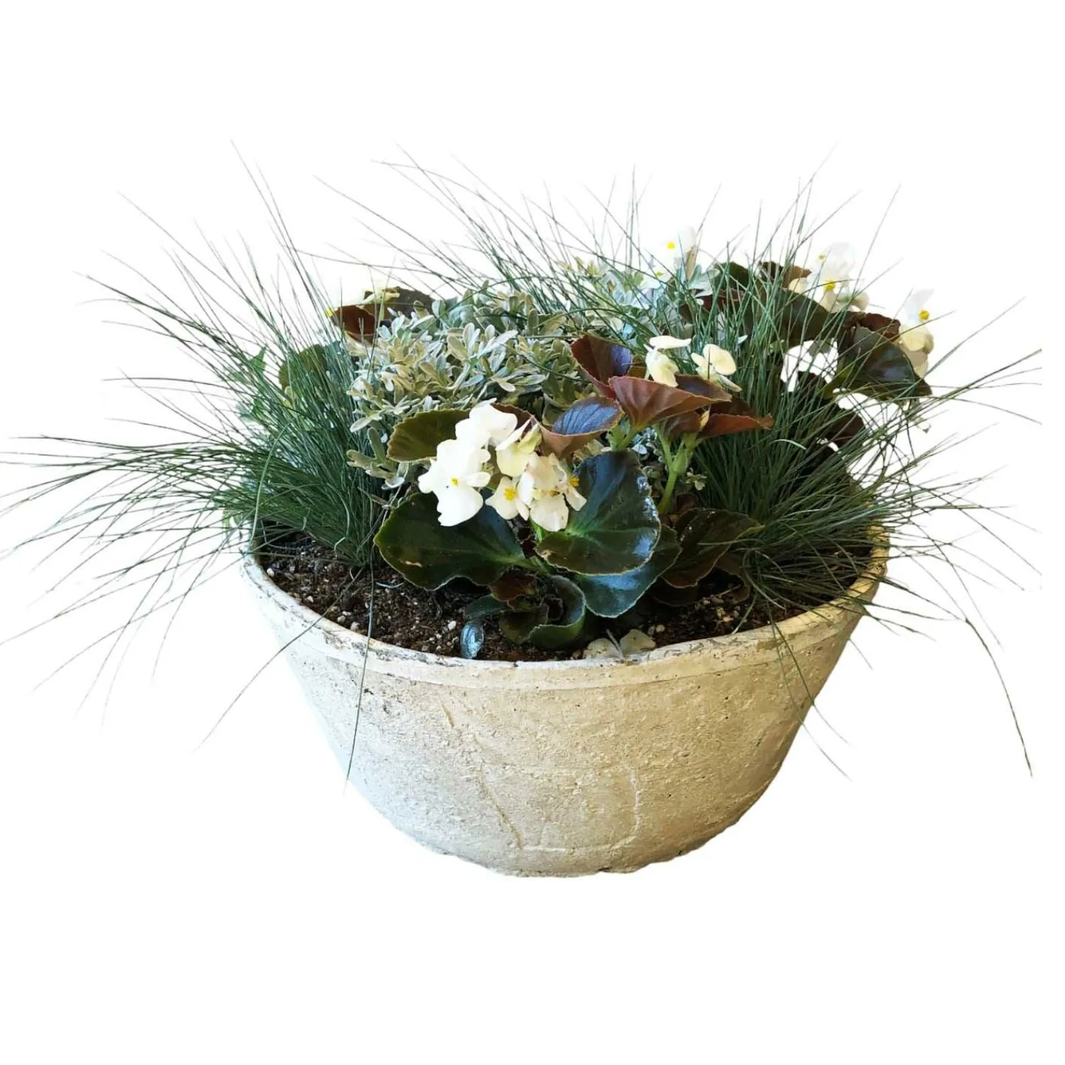 white_autumn_in_large_whitestone_bowl_0-1.webp White Autumn In Large Whitestone Bowl>Roger's Gardens Flash Sale
