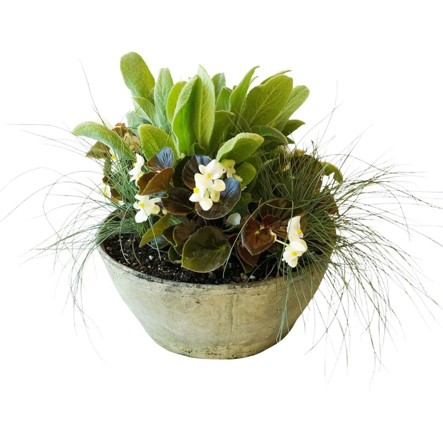 white_autumn_in_medium_whitestone_bowl_0-1.webp White Autumn In Medium Whitestone Bowl>Roger's Gardens New